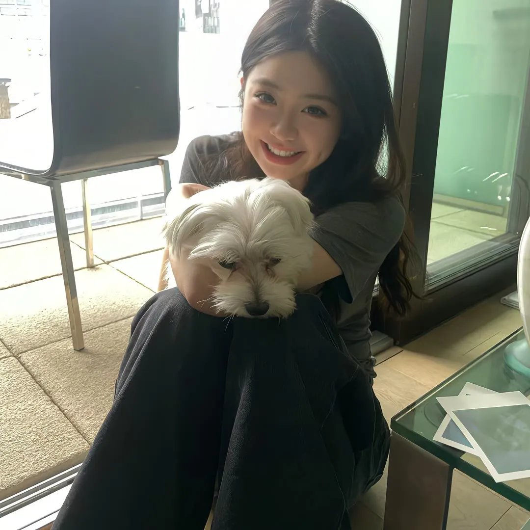 十二猴子第三季海报